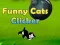 Jogo Clique no Gato Engraçado online