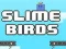 Jogo Pássaros de Lodo online