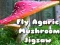 Jogo Amanita muscaria online