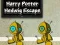 Jogo Harry Potter: Fuga de Hedwig online