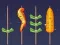 Jogo Jogo de Churrasco online