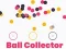 Jogo Colecionador de Bolas Circulares online