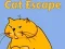 Jogo Fuga do Gato online