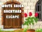Jogo Escape do Quintal de Tijolos Brancos online