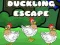Jogo Fuga do patinho online