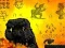 Jogo Runner Izvolgar online