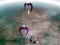 Jogo Scape Shotter online