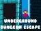 Jogo Fuga do Calabouço Underground online