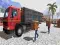 Jogo Motorista de caminhão de carga off-road asiático online