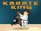 Jogo Rei do karate online