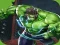 Jogo Hulk Esmaga a Parede online