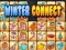 Jogo Conexão Invernosa online