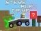 Jogo Steve Alex Direção online