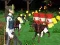 Jogo Melhor Batalha Cover Royale online