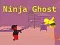 Jogo Fantasma Ninja online