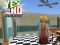 Jogo Desafio Sim ou Não online