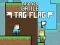 Jogo Batalha dos Amigos: Tag Bandeira online