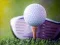 Jogo Desafio de Golfe Desbloqueado online