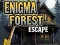 Jogo Fuga da Floresta Enigma online