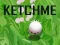 Jogo Pegue-me online
