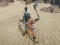 Jogo O Guerreiro Cita online