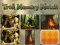 Jogo Troll Memory Match online