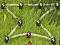 Jogo Guerra dos Insetos online