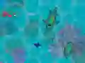 Jogo Sharkz.io online