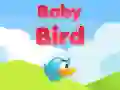 Jogo Pássaro Bebé online Jogo Pássaro Bebé online