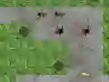 Jogo Defesa da Torre Aranha online