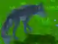 Jogo Simulador de Lobo online