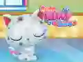 Jogo Cuidados com Gatinhos Fofos online Jogo Cuidados com Gatinhos Fofos online