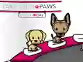 Jogo Patas Mimadas: Dia do Cão online