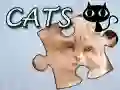 Jogo Quebra-Cabeça: Gatos online