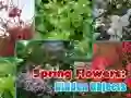 Jogo Flores da Primavera: Objetos Ocultos online Jogo Flores da Primavera: Objetos Ocultos online