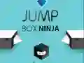 Jogo Ninja da Caixa de Pulo online Jogo Ninja da Caixa de Pulo online