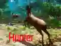 Jogo Caçador online Jogo Caçador online
