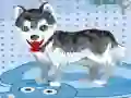 Jogo Meu cachorro fofo tomando banho online