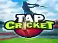 Jogo Críquete Toque online