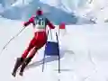 Jogo Simulador de Esqui Slalom online Jogo Simulador de Esqui Slalom online