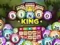 Jogo Rei do Bingo online Jogo Rei do Bingo online