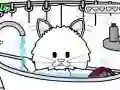 Jogo Patas Mimadas: Cuidado de Gatinhos online Jogo Patas Mimadas: Cuidado de Gatinhos online