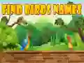 Jogo Encontre os nomes das aves online