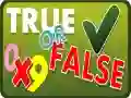 Jogo Verdade ou Falso online Jogo Verdade ou Falso online