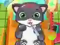 Jogo Doutor Gato online Jogo Doutor Gato online
