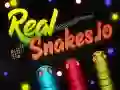 Jogo Serpentes Reais.io online Jogo Serpentes Reais.io online