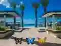 Jogo Encontre 100 borboletas online Jogo Encontre 100 borboletas online