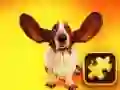 Jogo Quebra-Cabeça de Cães Engraçados online