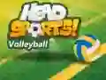 Jogo Voleibol Head Sports online Jogo Voleibol Head Sports online