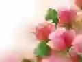 Jogo Rosas Pink online Jogo Rosas Pink online